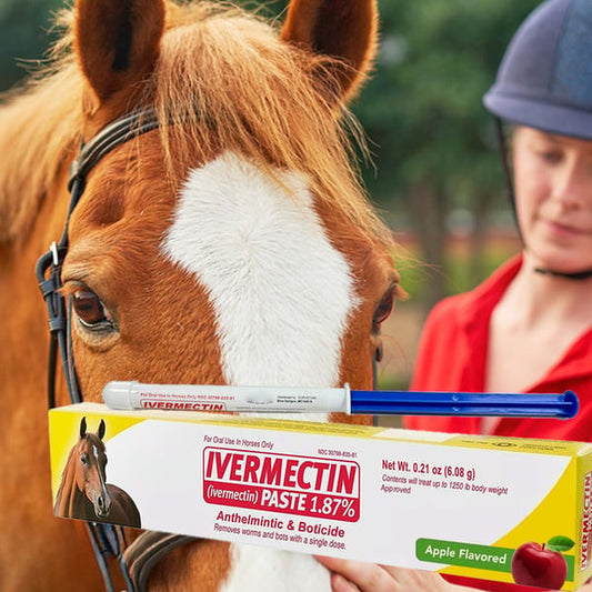 🎁Limited time 50% OFF⏳ivermectin Horse Paste 1.87% 6.08g Tubes