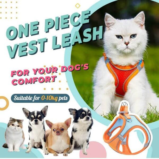 🔥Last Day Promotion 49% OFF🔥🔥One Piece Vest Leash