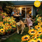 ⏳Time-Limited Special Price: ￡9.99!!⏰ LuminaBloom™ Solar Sunflower Garden Stake Lights 🌻 | Waterproof 🌧️ | No Wiring💡