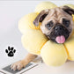 🎄Christmas Sale 49% OFF🎁🐶Pet Paw Printing Kit🐾🐾