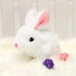 ⏰Final 3 Hours:Buy 1 Get 1 Free -🌟🌟 Interactive Easter Bunny Toy
