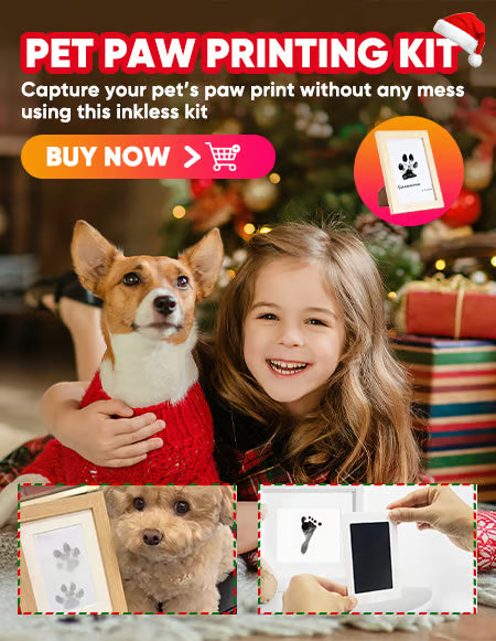 🎄Christmas Sale 49% OFF🎁🐶Pet Paw Printing Kit🐾🐾