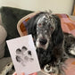 🎄Christmas Sale 49% OFF🎁🐶Pet Paw Printing Kit🐾🐾