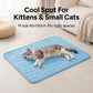 🔥🐶2026 Summer Hot Sale 49% OFF🧊Pet Cooling Ice Silk Mat – Summer Cooling Pet Bed Pad for Dogs and Cats, Breathable Washable Sleeping Cushion for Indoor and Outdoor Use, Lightweight Cooling Crate and Sofa Pet Mat