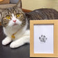 🎄Christmas Sale 49% OFF🎁🐶Pet Paw Printing Kit🐾🐾