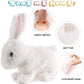 ⏰Final 3 Hours:Buy 1 Get 1 Free -🌟🌟 Interactive Easter Bunny Toy