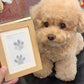 🎄Christmas Sale 49% OFF🎁🐶Pet Paw Printing Kit🐾🐾