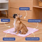 🔥🐶2026 Summer Hot Sale 49% OFF🧊Pet Cooling Ice Silk Mat – Summer Cooling Pet Bed Pad for Dogs and Cats, Breathable Washable Sleeping Cushion for Indoor and Outdoor Use, Lightweight Cooling Crate and Sofa Pet Mat