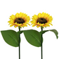 ⏳Time-Limited Special Price: ￡9.99!!⏰ LuminaBloom™ Solar Sunflower Garden Stake Lights 🌻 | Waterproof 🌧️ | No Wiring💡
