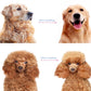 🐾Last Day-BUY 1 GET 1 FREE🏆✂️Dog Grooming Comb UK – Stainless Steel Double-Sided Brush, Universal Detangling & Shedding Tool for Daily Pet Coat Care