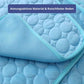 🔥🐶2026 Summer Hot Sale 49% OFF🧊Pet Cooling Ice Silk Mat – Summer Cooling Pet Bed Pad for Dogs and Cats, Breathable Washable Sleeping Cushion for Indoor and Outdoor Use, Lightweight Cooling Crate and Sofa Pet Mat