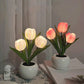 🔥Hot Sale 49% OFF💝✨LED Tulip Night Light Flower Table Lamp