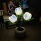 🔥Hot Sale 49% OFF💝✨LED Tulip Night Light Flower Table Lamp
