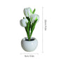 🔥Hot Sale 49% OFF💝✨LED Tulip Night Light Flower Table Lamp