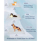 💥LAST DAY SALE 50% OFF💥Vagascape Dog Cooling Eco-friendly Mat, Cooling Pad