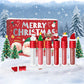 🎄🎅CHRISTMAS SPECIAL PRICE: ￡14.99!!🎁 Christmas Lip Gloss Set – 6 Colors💋