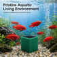 💧Time-Limited Special 70% Off⏰Activated Carbon Filter Cube for Aquarium Water Purification